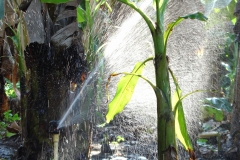 05_Easy-Resize.com_