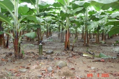 11_Easy-Resize.com_