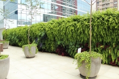 jardim-vertical-entrada-predio-comercial