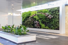 jardim-vertical-recepcao-hall