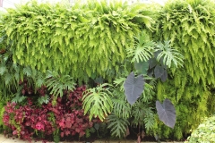 jardim-vertical-residencial-02