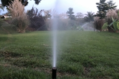 01_Easy-Resize.com_