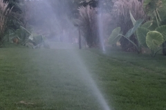 03_Easy-Resize.com_