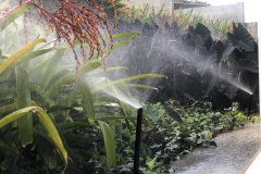 04_Easy-Resize.com_